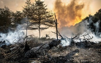 Оценка ущерба после стихийного бедствия в Владивостоке: отчет оценщика